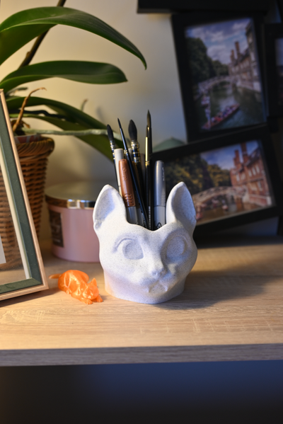 gato furia escrivaninha assistente organizador caneta escova ficar pé by coletor cérebros casa decoração acessórios vaso porta lápis cabeça escultura panela gatinha vampiro pateta fofa 3d print model - Mito3D