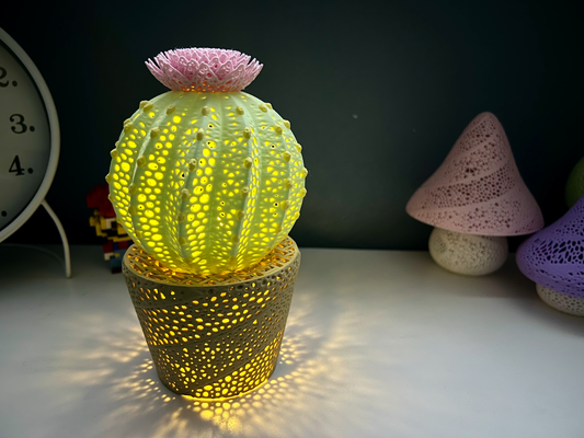 cactus in pot lampe by nukddd art modèles thé lumière bougie lanterne flexi plante nuit succulent articulé fleur 3d print model - Mito3D