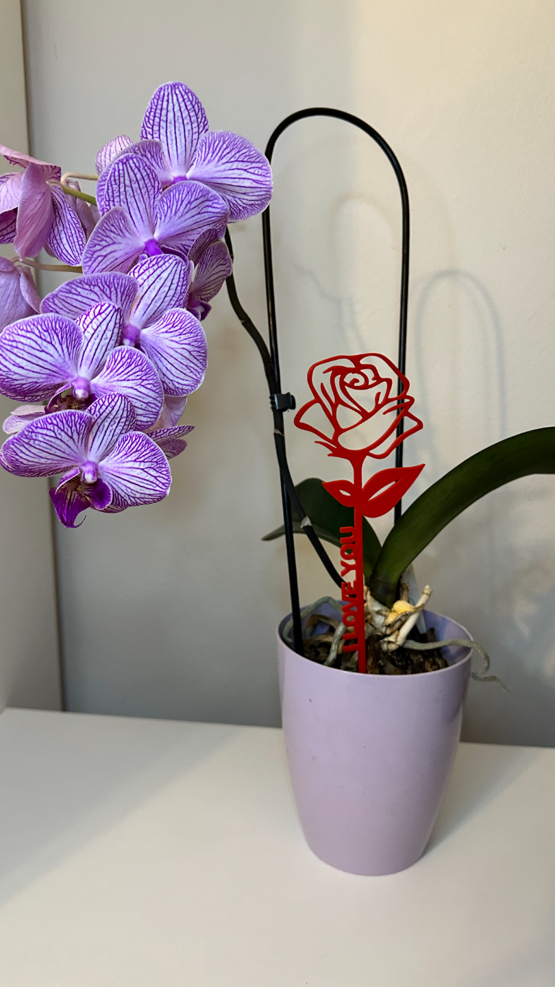 san valentino rosa i amore in vaso fiori by michal 3dtisk domestico arredamento decorazione fiore desing ti amo cuore deco regalo giorno colore dolce freddo personalizzato 3D print model - Mito3D