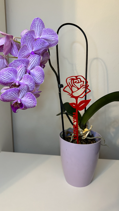 namorados rosa i amar in vaso flores by michal 3dtisk casa decoração flor desing amo coração deco presente cor doce legal personalizadas 3d print model - Mito3D