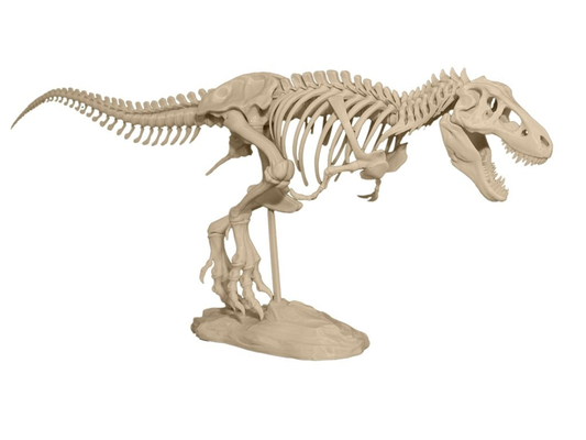 t rex scheletro condivisa by johny1 arte modelli 3d print model - Mito3D