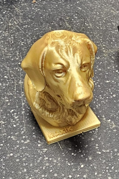 labrador retriever head by jenikus13 household pets dog bust 3d print model - Mito3D