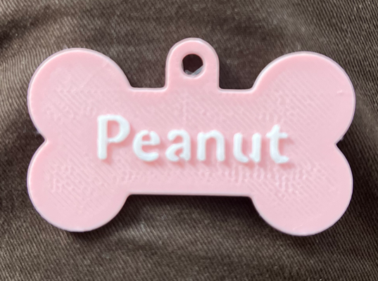 doggie tag peanut by holyfirerain generative 3d model my sign pet dog cat bone 3d print model - Mito3D