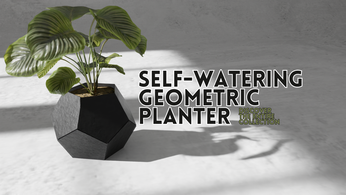 watering geometric planter by collecticraft household garden geometrical minimal dodecahedron vase pot holder house decor modern design innovative clean interior versatile elegant durable 3d print model - Mito3D