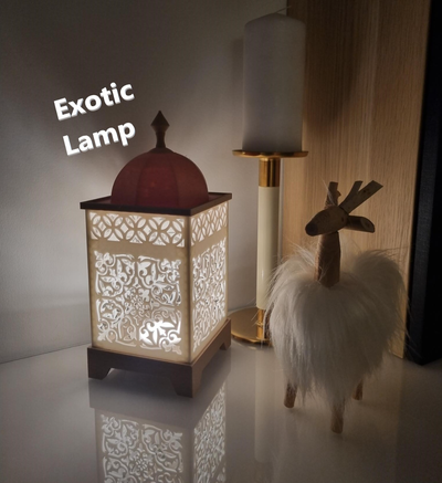 esotico lampada by hg design domestico arredamento luce lampadaesotica 3d print model - Mito3D