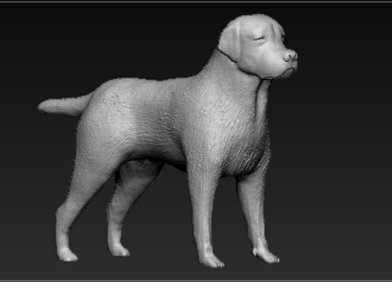 labrador by 3dhobby minyatürler hayvanlar köpek 3d print model - Mito3D