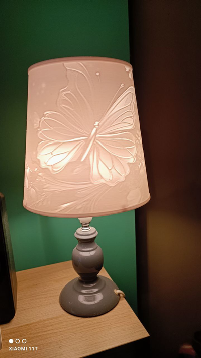 butterfly lamp by ko additive labo art models litophane lito papillon 3d print model - Mito3D