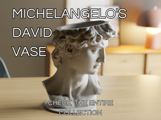 david by michel ange vase artisanat collection ménage décor sculpture modèle art classique forme conception pot organisateur fleur récipient minimal 3d print model - Mito3D