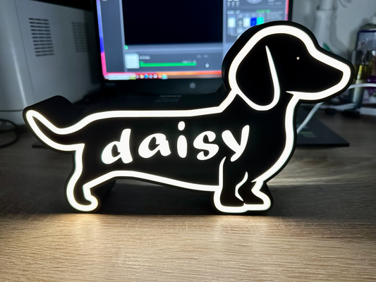 daksund led hafif kutu lampe papatya by sqdsl ger sanat 2d lamba şerit 3d print model - Mito3D