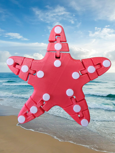 articulado 2 cor estrela mar by tio joeys criações brinquedos jogos estrela peixe multicolorido mar vida oceano animal 3d print model - Mito3D