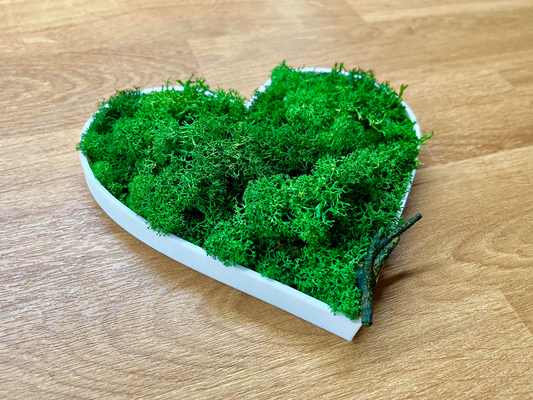 verde musgo corazón by pedro h casa decoración valentin san día enamorado fuerza amor regalo decorativo cumpleaños amante amigo mamá madre idea inspiración escritorio pared estante 3d print model - Mito3D