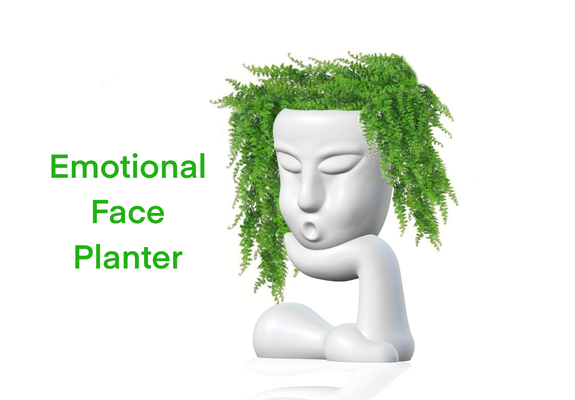 emocional cara plantador by printito casa decoración maceta planta blanco figura decorativo interior puerta naturaleza creativo cabeza arte 3d hogar diseño mano 3d print model - Mito3D