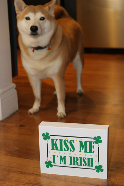 kiss me irish light box by simplybabette art signs & logos dog st patricks day 3d print model - Mito3D