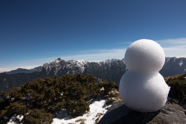 pupazzo neve creatore inserisci palla by agenti arte sculture uccello giorno arredamento 3d print model - Mito3D