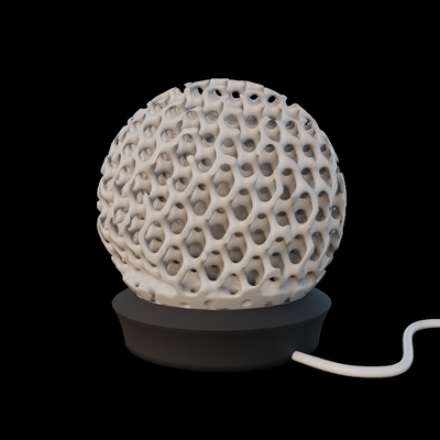 coral lamp led kit 001 by fritz025 household decor voronoi generative 3d print model - Mito3D