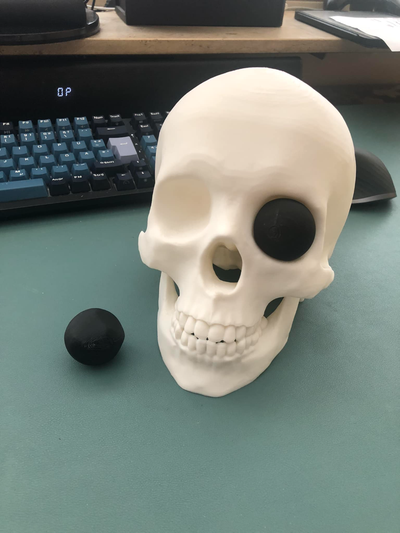 vita dimensioni umano cranio remixare occhi remixato by drcgraphix domestico arredamento testa scheletro anatomico 3d print model - Mito3D