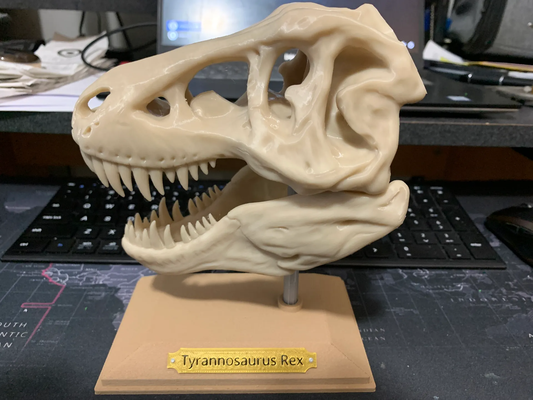 rex schädel puzzle by pzi 3d bildung biologie dinosaurier tyrannosaurusrex tyrannosaurus dinosaurus geschichte 3d print model - Mito3D