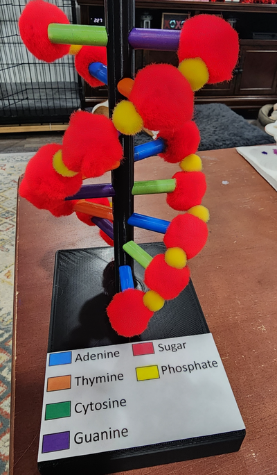 dna stand by tractordude education biology 3d print model - Mito3D