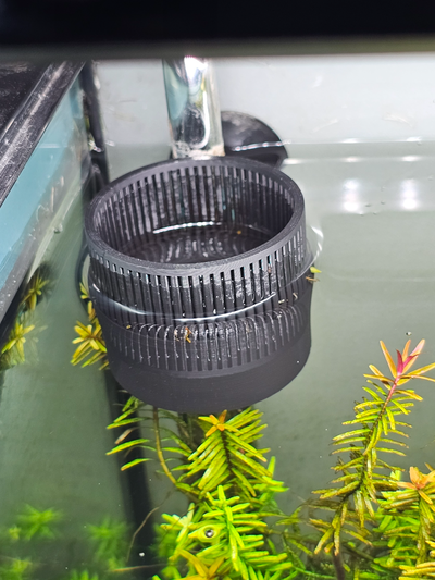 aquarium oberfl chenkimmer mit protection crevettes surface écumoire by magoe88 loisir diy crevette 3d print model - Mito3D