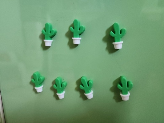 cactus 6x3 magnet by gyulee household decor 6x3magnet 3d print model - Mito3D