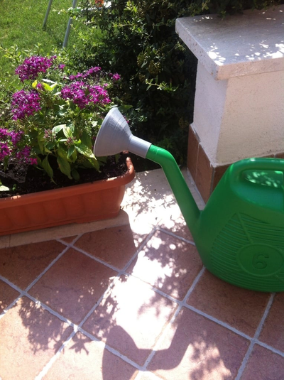 watering can nozzle by scrat80 household garden water bottle funnel original innaffiatoio giardino 3d print model - Mito3D