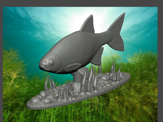 perlin fish model statue by rott3d art sculptures bait fishing fisher lure design sculpt artman common gift grandfather water lake hobby sport 3d print model - Mito3D