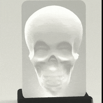optisch illusion murray verfolgung schädel by funkyart kunst skulpturen 3d print model - Mito3D
