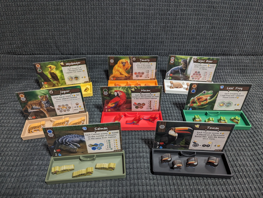 vida of amazonia animal bandejas tarjeta soportes by pantalones león juguetes juegos tablero juego mesa insertar 3d print model - Mito3D