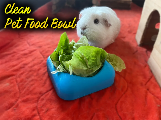 clean food bowl pets by stansteenman household guineapig guinea pig foodbowl pet dog cat bunny rabbit animal 3d print model - Mito3D