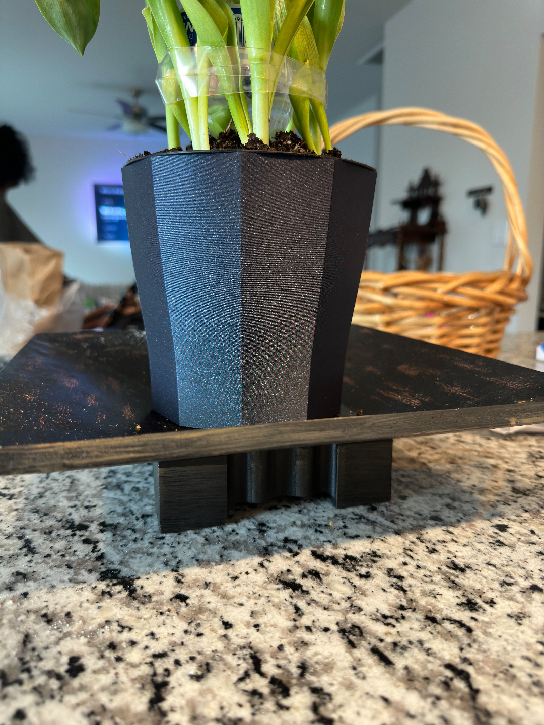 poly plater vase by lawless generative 3d model my garden mode planter pot flower 3D print model - Mito3D