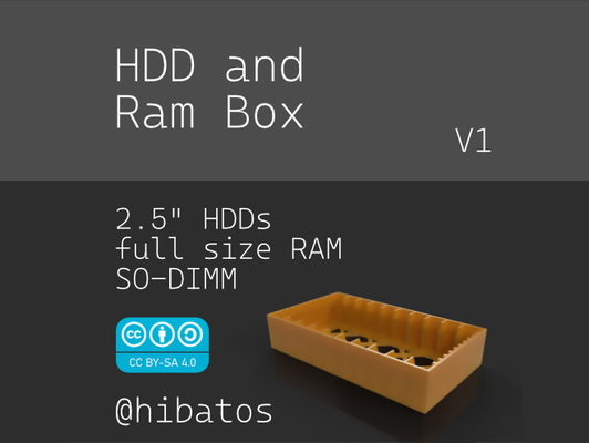 ram 25 hdd box by hibatos tools organizers harddrive ssd sodimm case multi computer repair 3d print model - Mito3D
