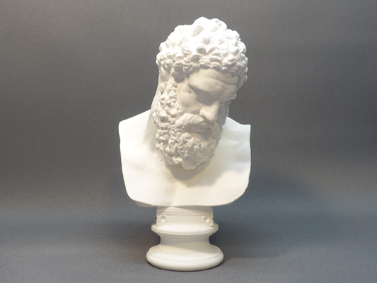 bust of farnese hercules shared by tridense art sculptures scan roman marble greek heracles 3d print model - Mito3D