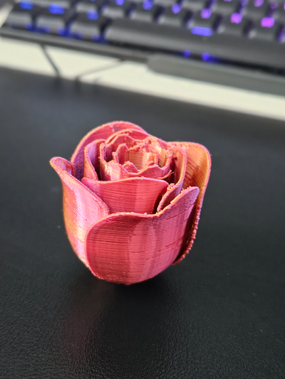 rose by hapsee art 2d imprimantes 3d print model - Mito3D