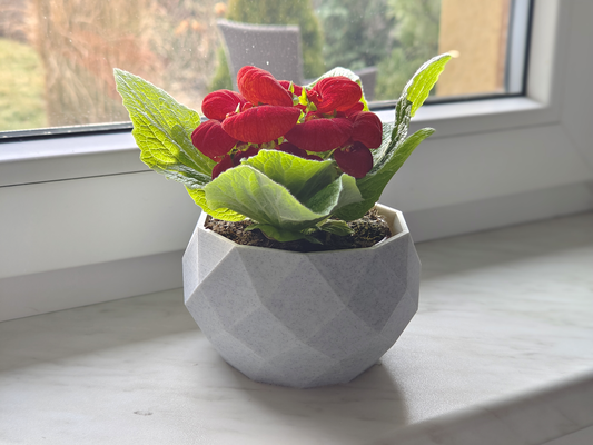 poly planteur by reclipser ménage décor lowpoly vase pot fleur 3d print model - Mito3D