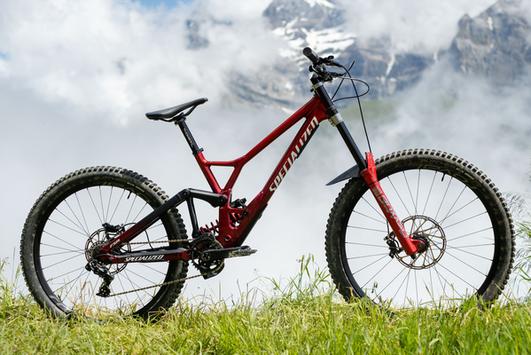 spezialisiert demo dh fahrrad 2d modell by philip kunst offroad 3d print model - Mito3D