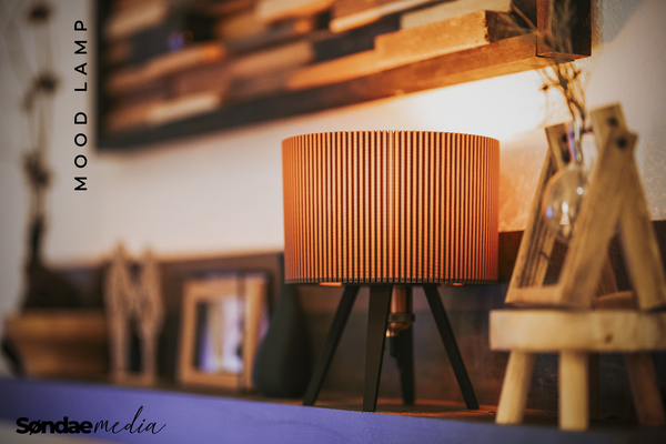 umore lampada by s ndaemedia domestico arredamento pavimento lampe e27 versione soffitto moodlight freddo moderno luce arte moderna presa lampadina stile elegante legna bambù sughero pla petg traslucido boho 3d print model - Mito3D