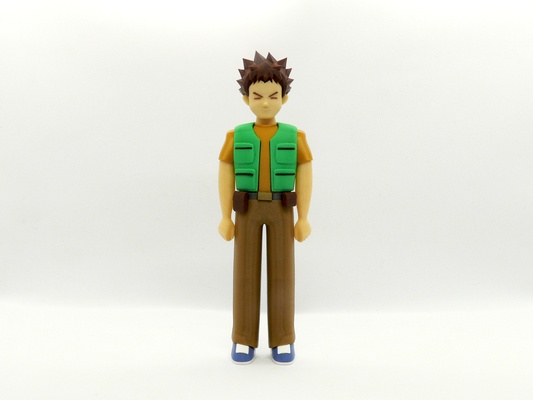 brock by reddadsteve toys & games characters pokemon cartoon boy 3d print model - Mito3D