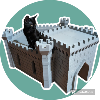 pet castle by nozzleapostle household pets cat dog mouse rodent reptile toy sleep fortress kids mideval nap play bed fort knight kitten hamster rabbit box 3d print model - Mito3D