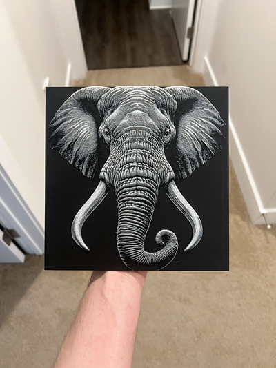 elefante cara pared arte by rp47 diseños generativo 3d modelo forja sombreros litofano 3d print model - Mito3D