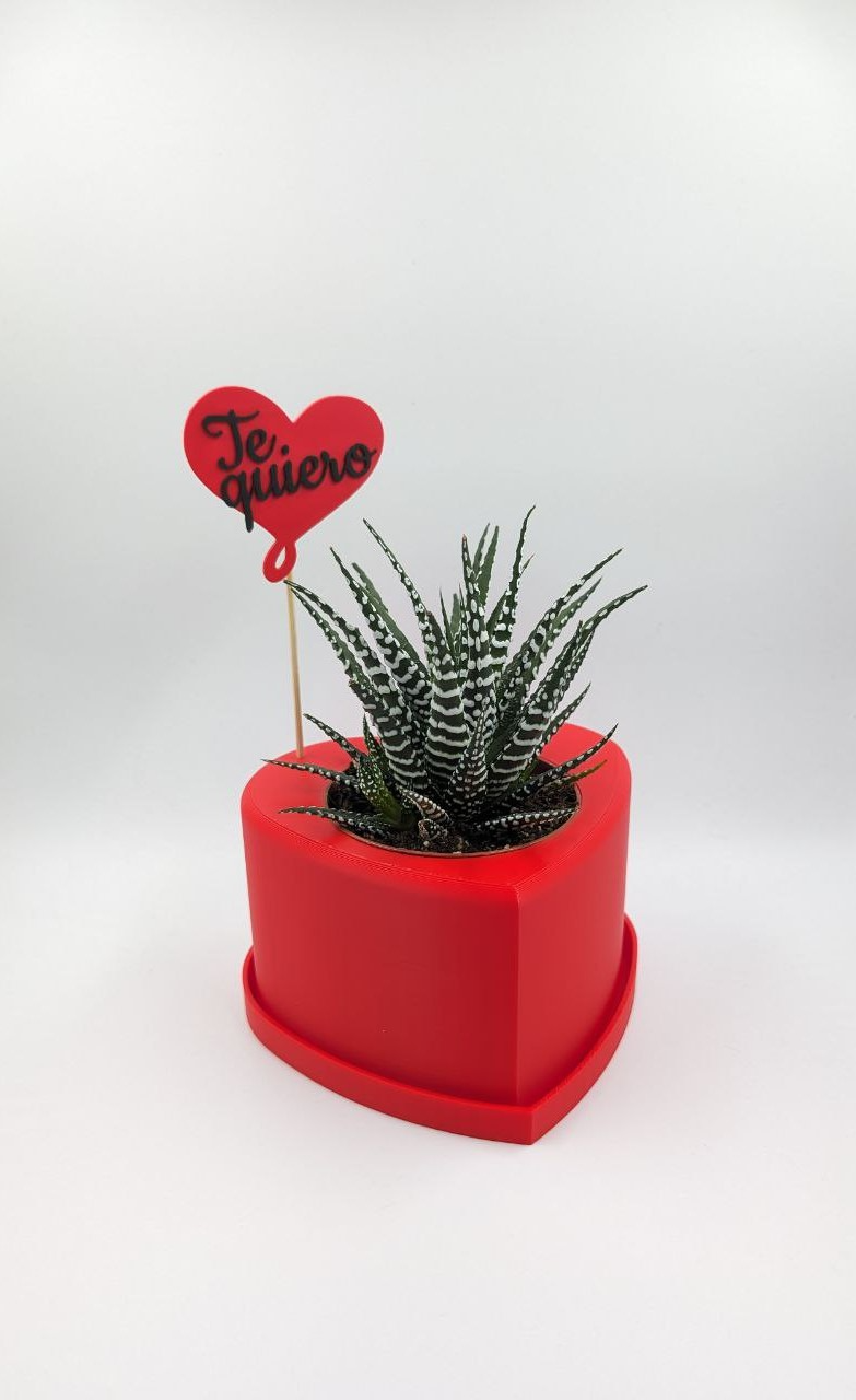 herz topf by despacho3d haushalt dekor corazon maceta te quiero liebe rot rojo verliebt 3D print model - Mito3D