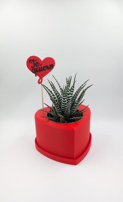 corazón maceta by despacho3d casa decoración corazon te quiero i amor rojo enamorados 3d print model - Mito3D