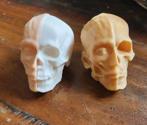 crâne sch del by pêche fer 3d imprimante pièces 3d print model - Mito3D
