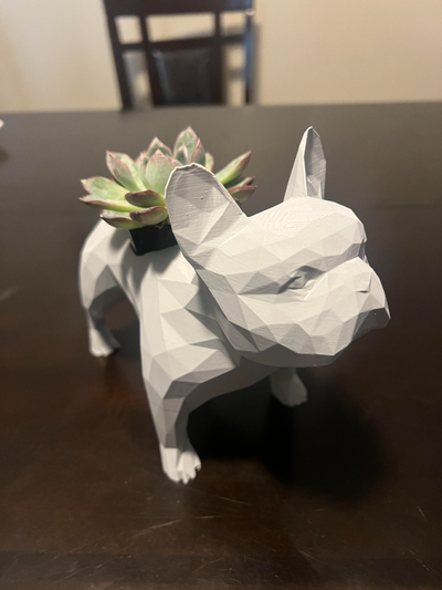 frenchie succulenta pianta titolare supporto remixato by matt5082 domestico arredamento estetico francese bulldog cane cucciolo 3d print model - Mito3D