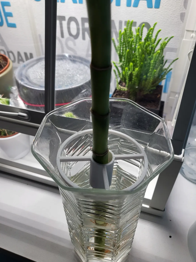 şanslı bambu ayırıcı by gün ev halkı bahçe bitki destek openscad çöp şanslıbambu 3d print model - Mito3D