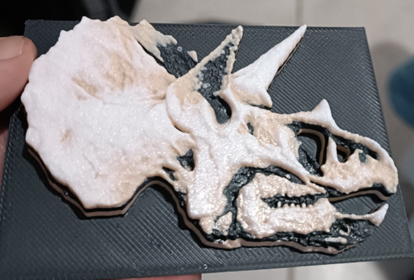 triceratops skull etching by sduppleganger art sculptures dinosaur fossil fossils dinosaurs skulls museum wall hueforge 3d print model - Mito3D