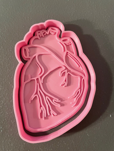 4 anatomically correct heart cookie cutter stl file - printable baking tool by timothyrmunro tools kitchen gift cooking easy stamp cookies 3d print model - Mito3D