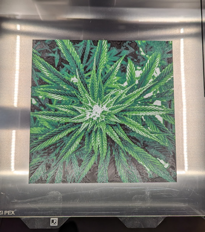 cannabis hutschmiede mauer kunst by quantum züchter generativ 3d modell lithophan gras 420 topf joint pflanze instagram 10th planet ethos quantenzüchter erzeuger organisch ganja bong rohr deko thc cbd dampfen 3d print model - Mito3D