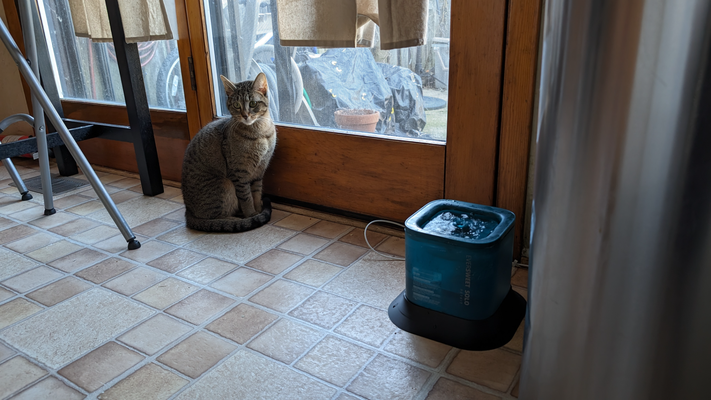 trapaceou doce só anti spill base by amo casa animais estimação derramamento gato fonte água 3d print model - Mito3D