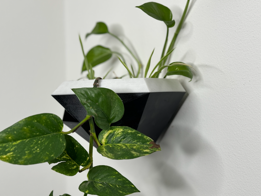 geometrico wall mounted self watering fioriera vaso fiori by j3n domestico arredamento pentola erbe aromatiche giardino accessoriperlacasa auto irrigazione autoirrigante facile montaggio fiore 3d print model - Mito3D