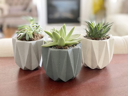 planteur 12 succulent vie remixé by maxtee ménage décor pot fleur plantes bureau jardinières fleurs jardinière cactus succulentes 39 intérieur succulentholder indoorplanter plante succulente succulentsplanter 3d print model - Mito3D